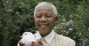 Nelson Mandela (Fuente Externa