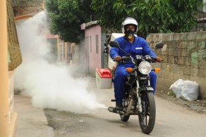 Siguen las jornadas de fumigación en barrios SDN