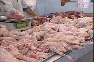 Pese a gripe aviar la venta de carne de pollo se mantiene normal 