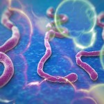 Aprueban Test de diagnóstico rápido para ébola