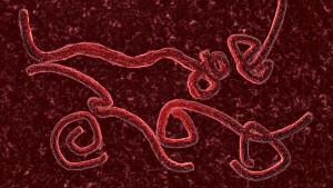 Liberia confirma segundo caso de ébola tras breve receso