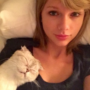Gato Taylor Swift