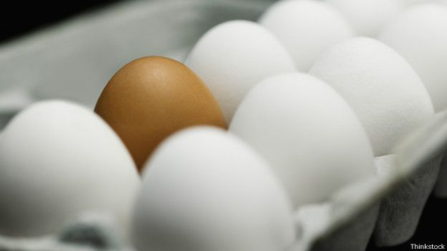 Gobierno dispone la venta de huevos a 3 pesos a través del Inespre