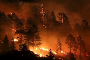 Los Angeles county firefighters battle wild land fire call the Pine Fire in Wrightwood, California