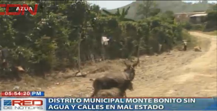 Distrito Municipal Monte Bonito sin agua y calles en mal estado