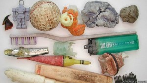 Estos objetos plásticos fueron hallados en el interior de los cadáveres de varios albatros.