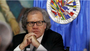 Venezuela solicitaría destitución de Almagro si invoca Carta Democrática