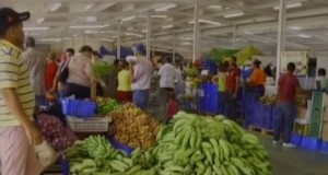Plátanos experimentan rebajas en su precio 