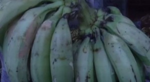 Comerciantes reiteran que plátanos podrían llegar a RD$30.00 la unidad