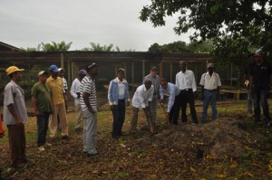 IAD inicia construcción de vivero cacao en Yamasá