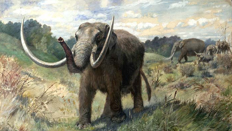 Desvelan la causa de la extinción de los mastodontes y megafauna de América