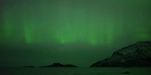 ¡Verdadero espectáculo de la naturaleza! Ballenas jorobadas 'danzan' en medio de aurora boreal