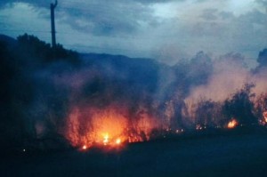 Humo por incendio en autopista Duarte dificulta visibilidad a conductores