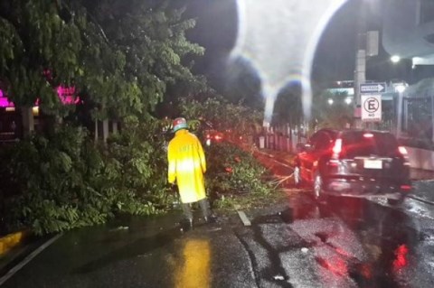 Chubasco derribó árboles y averió semáforo en Santo Domingo