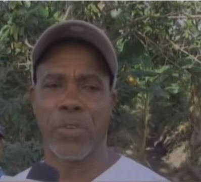 Delincuentes azotan plantaciones de plátanos en Azua