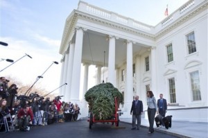 Llega enorme árbol navideño a la Casa Blanca