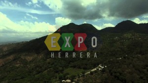 Industriales suspenden EXPO HERRERA 2015 por onda tropical 