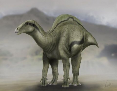 Descubrieron en España una nueva especie de dinosaurio