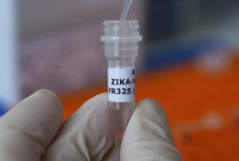 Haití reporta 503 casos de Zika y anuncia plan para combatirla