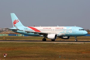Rata hace aterrizar de emergencia a un avión en China