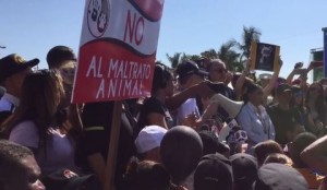Protestan contra envenenamiento de animales 