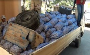 Contrabando: ocupan más de 400 sacos de ajo en Montecristi