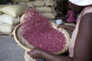Haití Donaciones de maní de EEUU causan desazón
