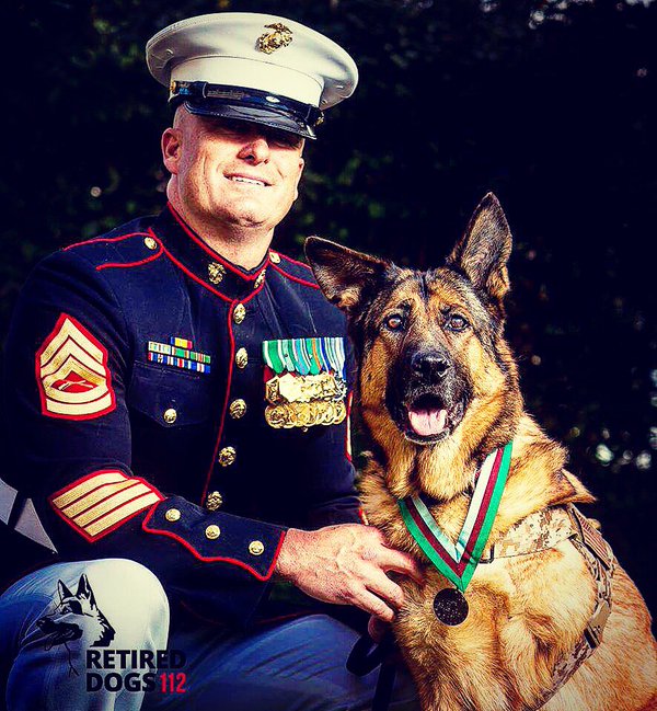 Lucca, perra militar que perdió una pata durante guerra en Afganistán, recibe medalla de honor