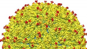 Primera imagen tridimensional del virus del Zika