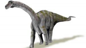 ¿Cómo eran las crías del dinosaurio más grande del mundo al nacer?