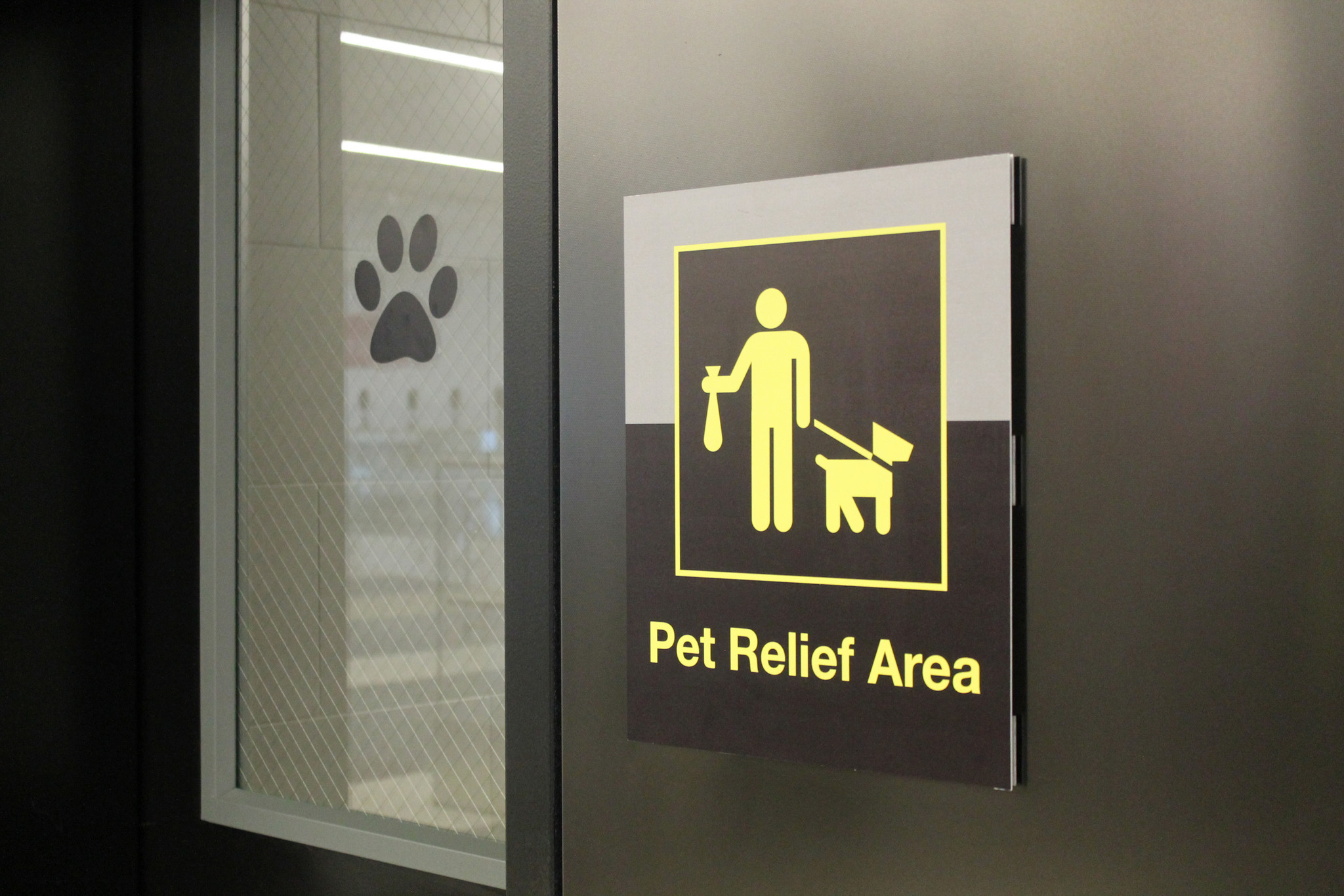 Aeropuerto JFK de Nueva York estrena sanitario para mascotas