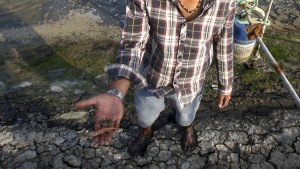 La aparición de abundantes peces muertos complica las elecciones en Vietnam