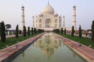 Los insectos, una amenaza para los mármoles del Taj Mahal