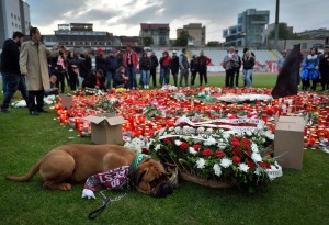 Conquista la Red un perro que “llora” por un futbolista fallecido 