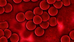 Científicos descubren cómo las células sanguíneas se transforman en cáncer