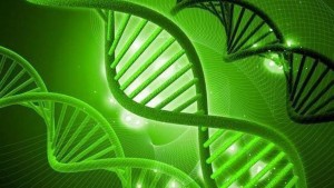 Descubren primer gen asociado a origen esclerosis múltiple