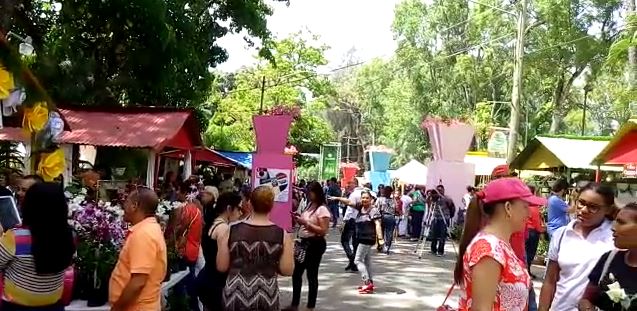 Continúa este sábado Festival de las Flores Jarabacoa 2016