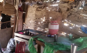 Pareja con 12 hijos en Azua vive en extrema pobreza, duermen en el suelo