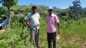 Azua: agricultores de Las Lagunas denuncian que pierden cultivos por falta de agua 