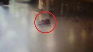 Video muestra como abatieron a un atacante en el aeropuerto de Estambul antes de activar un explosivo