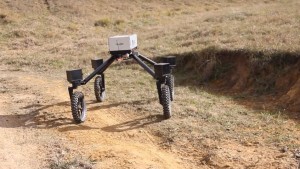 Crean un pastor robot para controlar al rebaño