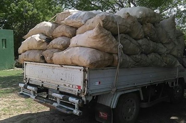 Decomisan 90 sacos de yuca eran traídos de Haití