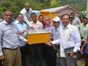 Gobierno sembrará 10 mil tareas de café y aguacate en zona montañosa de Azua