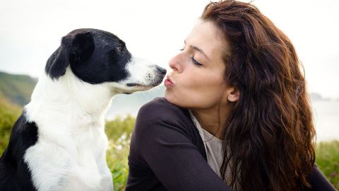 Cuidado con tu perro: Infecciones que puedes contraer si besas a tu can en la boca