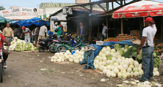 Comerciantes denuncian insalubridad en el mercado municipal de SPM