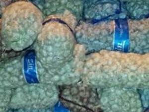Autoridades decomisan 67 sacos de ajo en la frontera con Dajabón