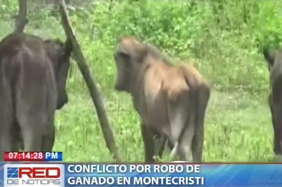 Conflicto por robo de ganado en Montecristi