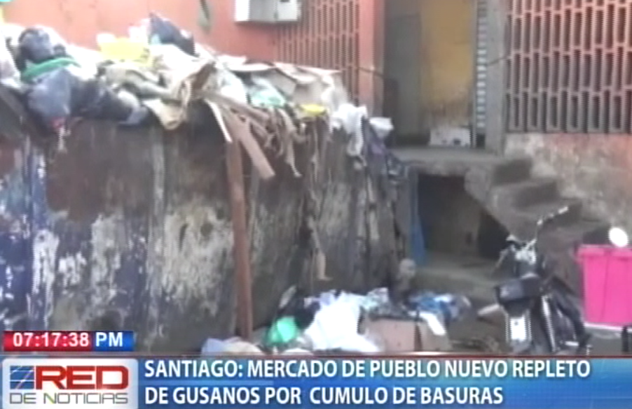 Santiago: mercado de Pueblo Nuevo repleto de gusanos por cumulo de basuras