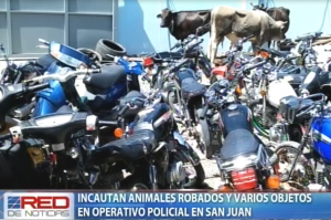 Incautan animales robados y varios objetos en operativo policial en San Juan