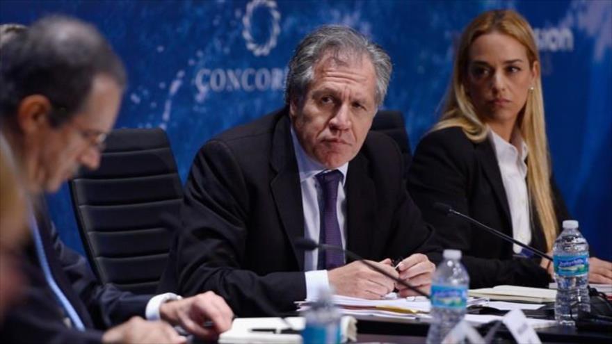 Secretario de la OEA "repudia" la ratificación de condena de Leopoldo López